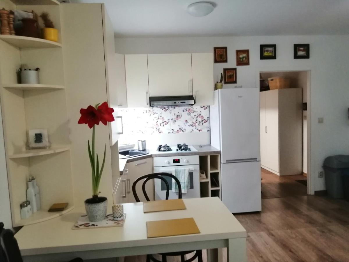 Slavik Apartment Дунайска-Стреда Экстерьер фото