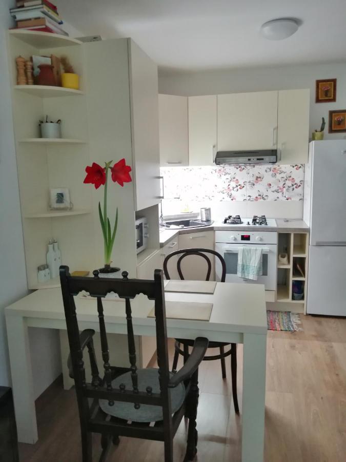 Slavik Apartment Дунайска-Стреда Экстерьер фото
